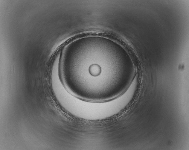 X0000115321352200911161735