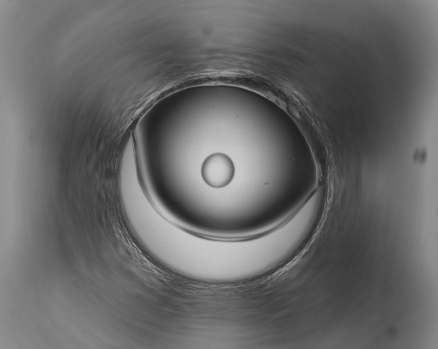 X0000115321353200911161735