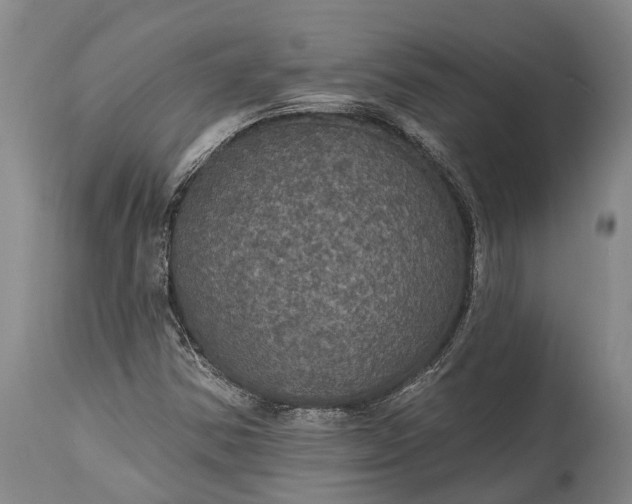 X0000115321354200911161735