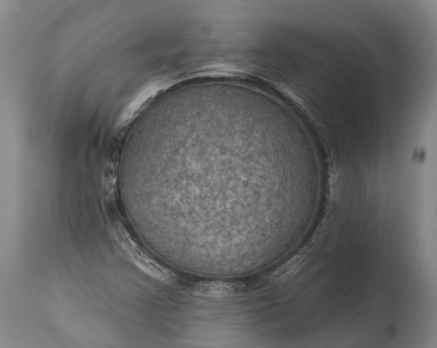 X0000115321355200911161735