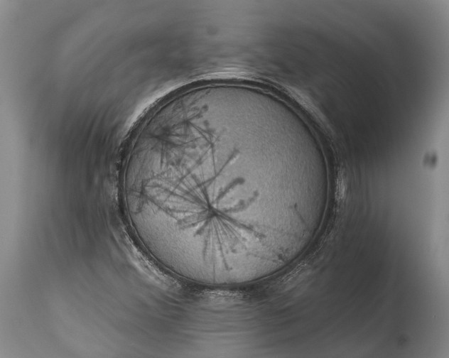 X0000115321356200911161735