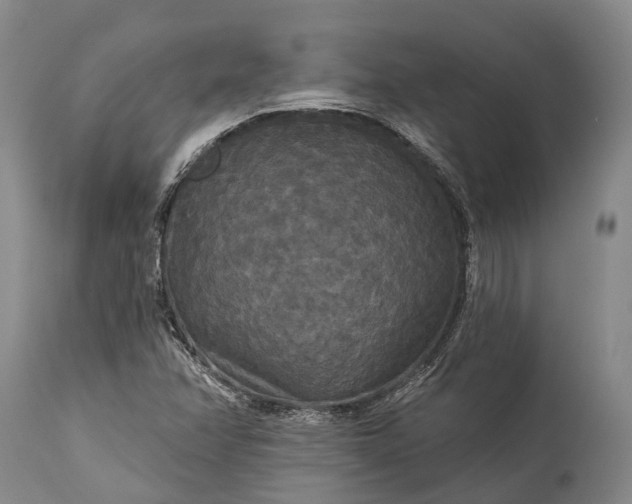 X0000115321358200911161735