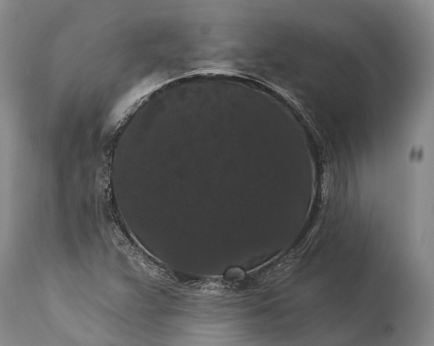 X0000115321359200911161735