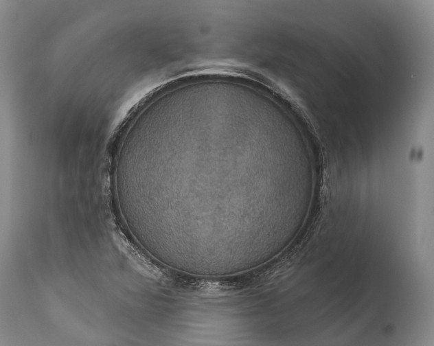 X0000115321360200911161735