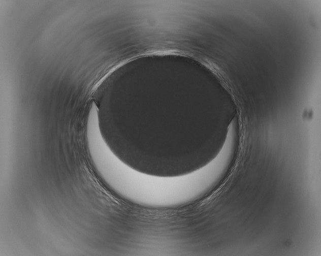 X0000115321361200911161735