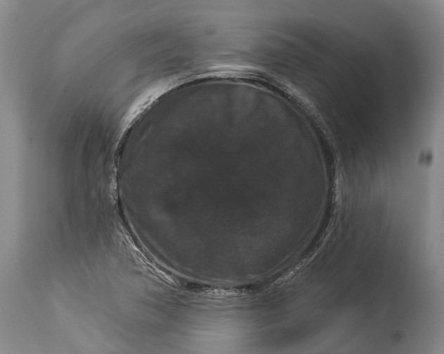 X0000115321362200911161735