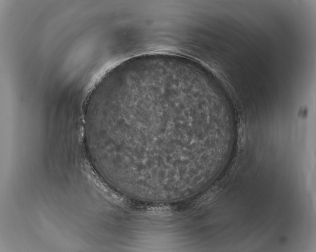 X0000115321363200911161735