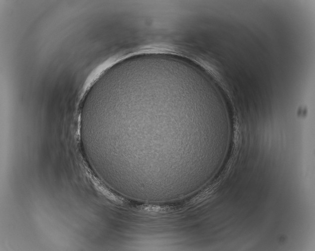 X0000115321366200911161735