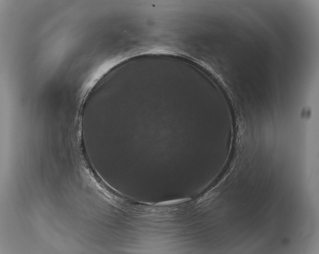 X0000115321367200911161735