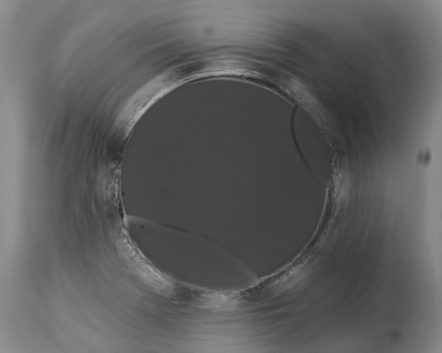 X0000115321369200911161735