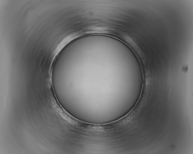 X0000115321370200911161735