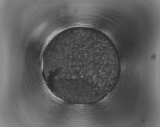 X0000115321371200911161735