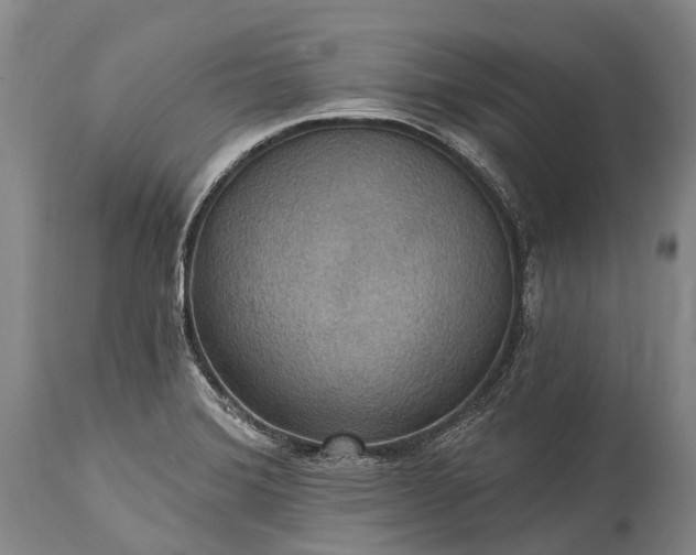 X0000115321372200911161735