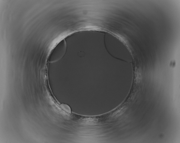 X0000115321373200911161735