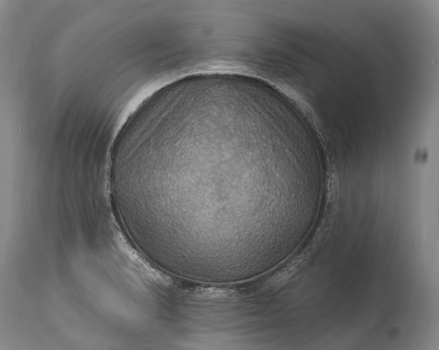 X0000115321374200911161735