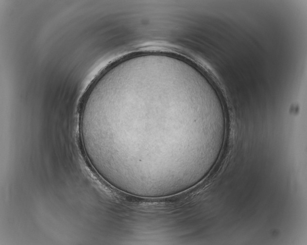 X0000115321376200911161735