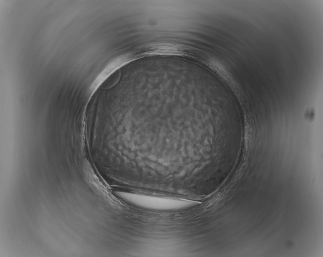 X0000115321378200911161735