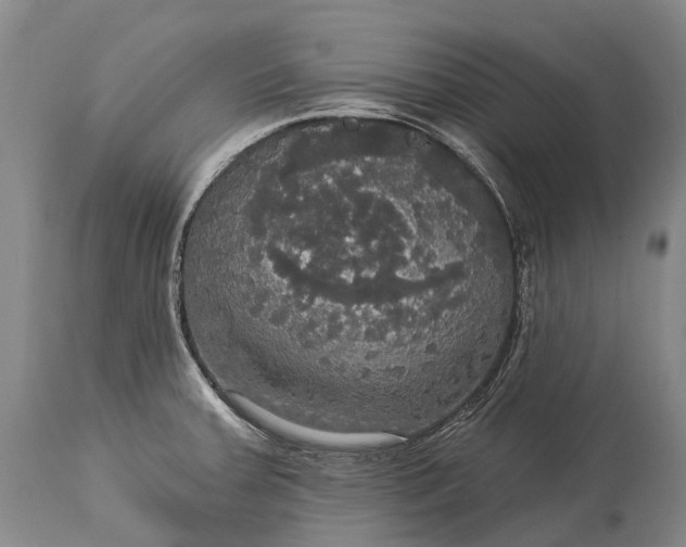 X0000115321379200911161735