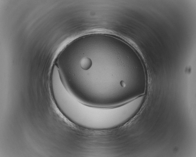 X0000115321381200911161735