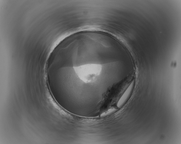 X0000115321382200911161735