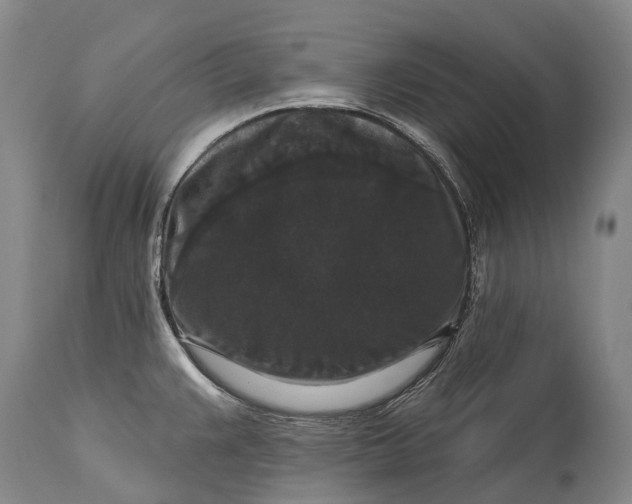 X0000115321383200911161735