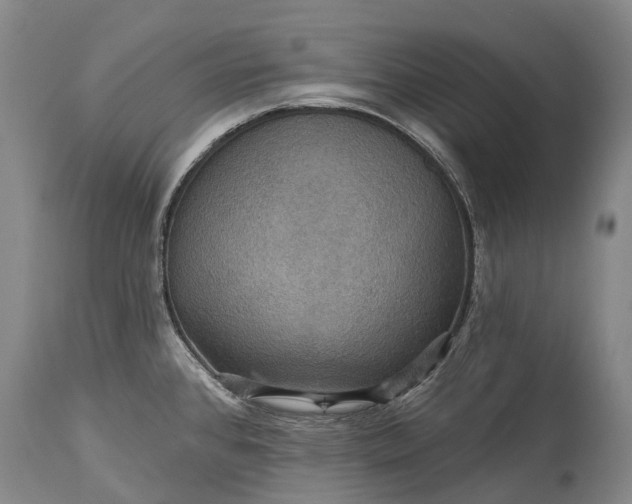 X0000115321384200911161735