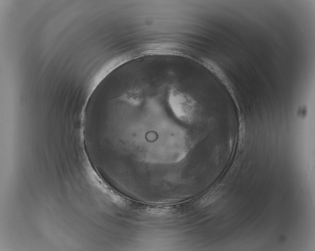 X0000115321386200911161735