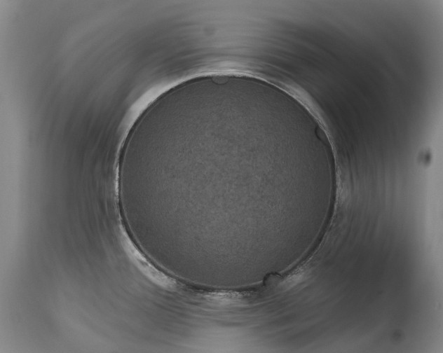 X0000115321388200911161735