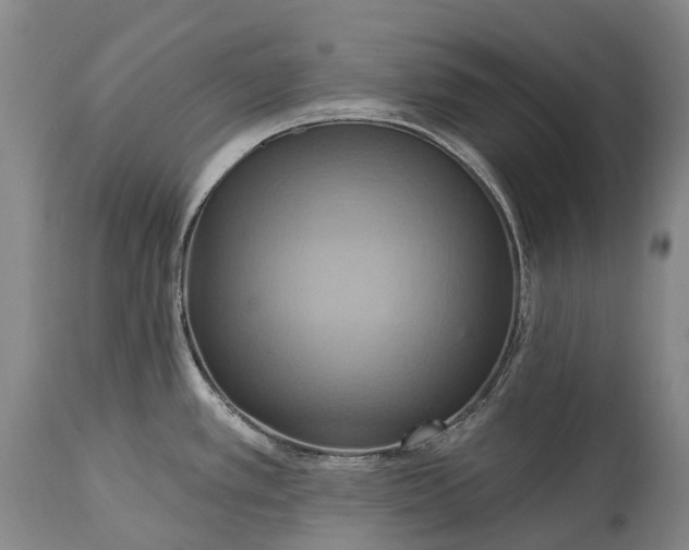 X0000115321389200911161735