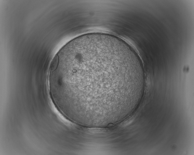 X0000115321391200911161735