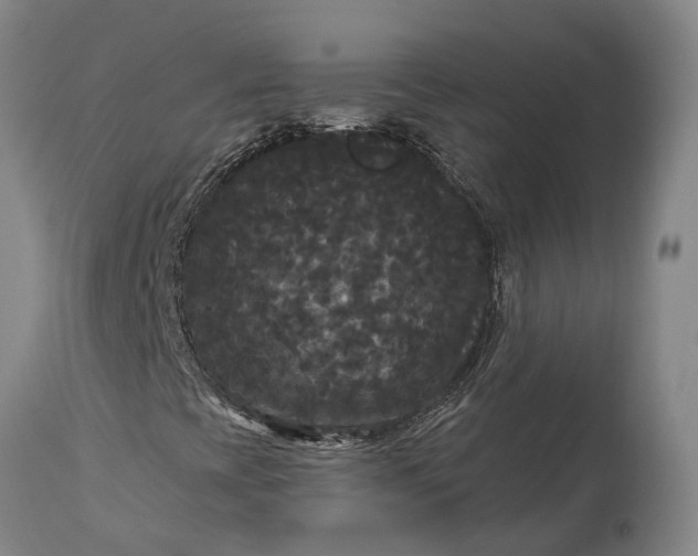 X0000115321393200911161734