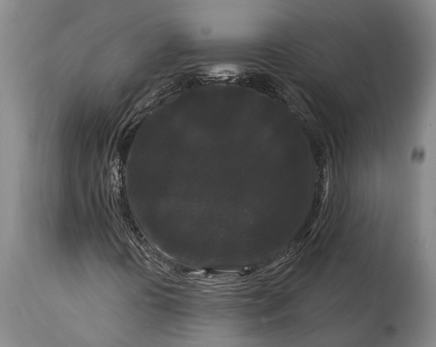 X0000115321394200911161734