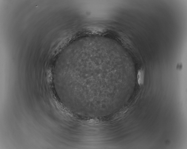 X0000115321395200911161734