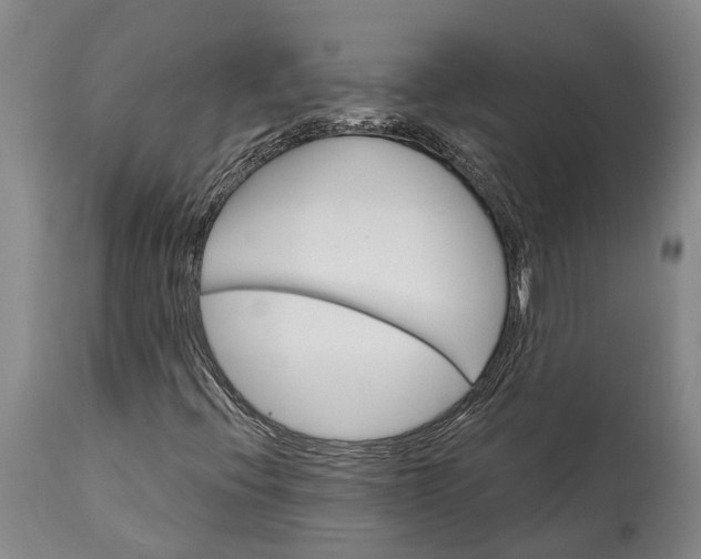 X0000115321396200911161734