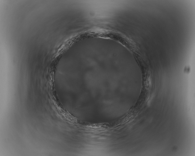 X0000115321397200911161734