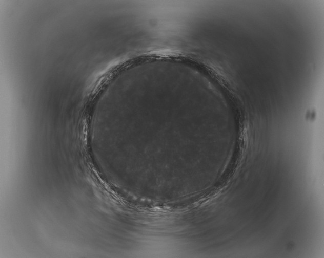 X0000115321398200911161734