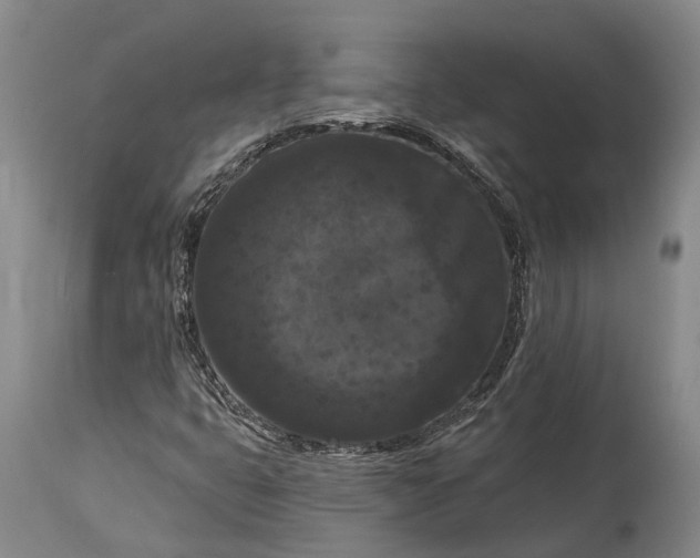 X0000115321399200911161734