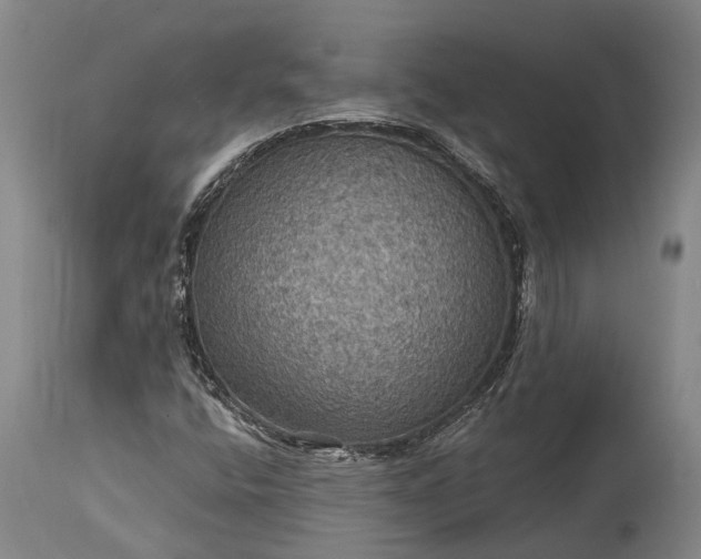 X0000115321400200911161734