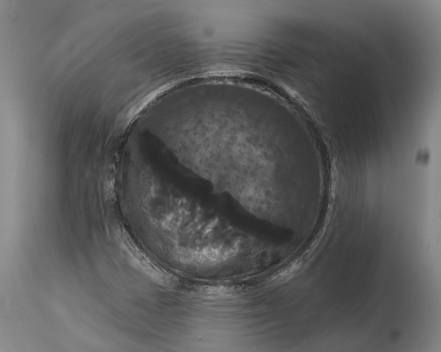 X0000115321401200911161734