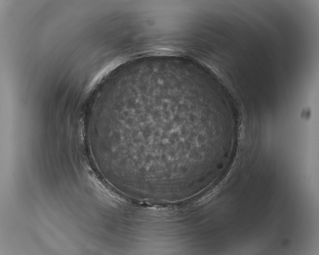 X0000115321402200911161734