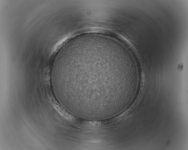 X0000115321403200911161734