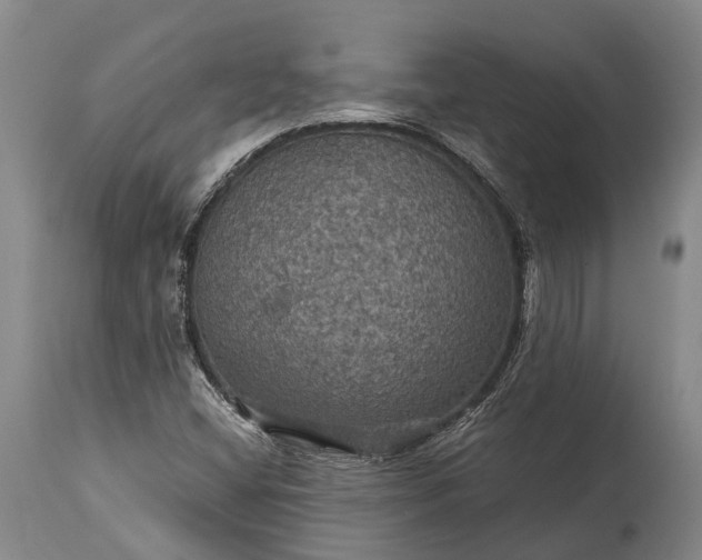 X0000115321404200911161734