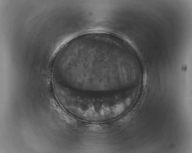 X0000115321405200911161734