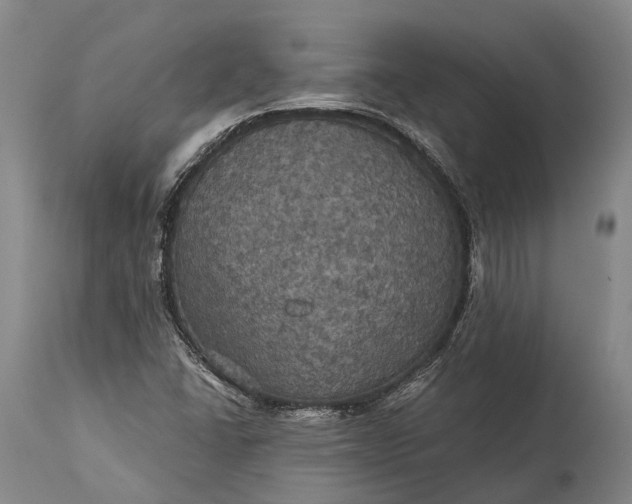 X0000115321406200911161734