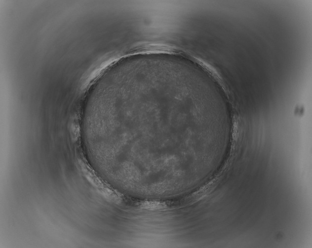 X0000115321407200911161734