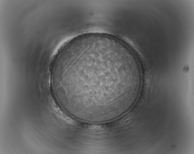 X0000115321408200911161734