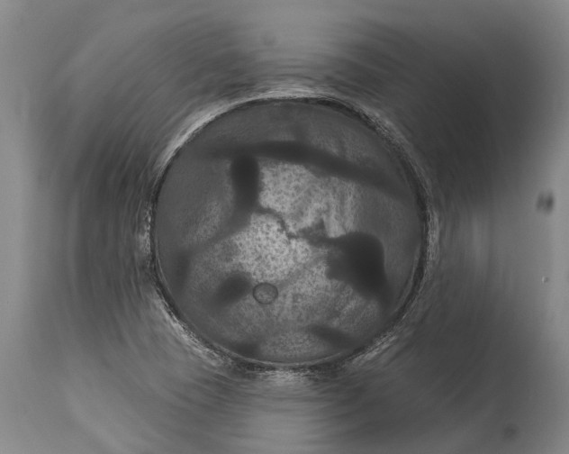 X0000115321409200911161734