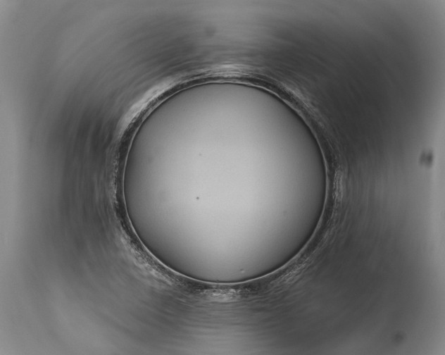 X0000115321410200911161734