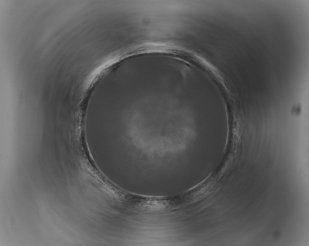 X0000115321411200911161734