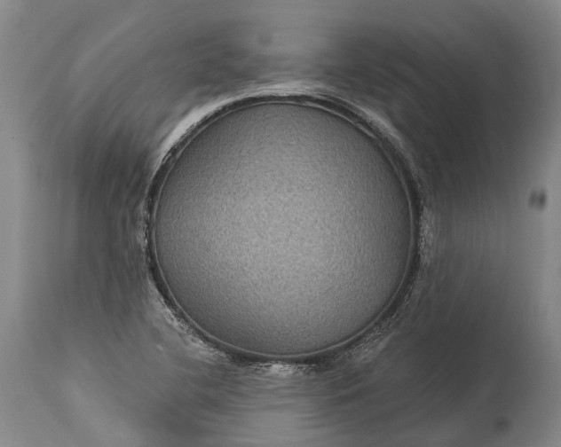 X0000115321412200911161734